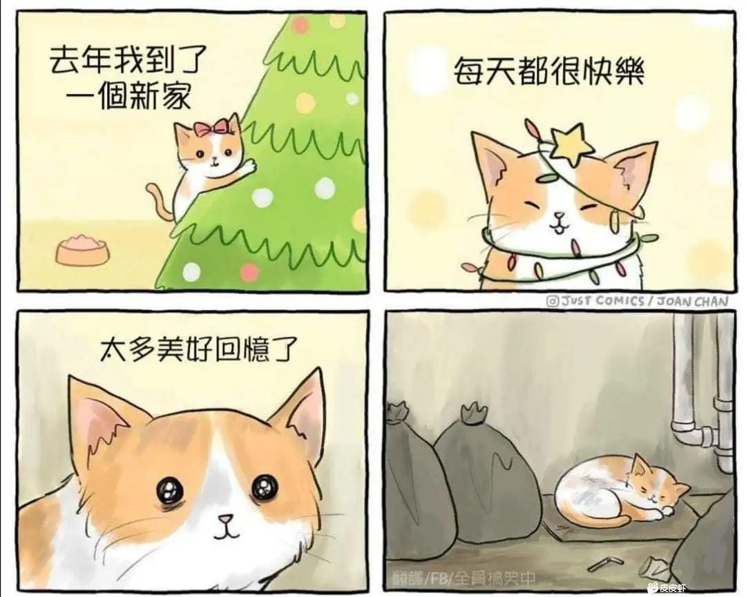 <img src=