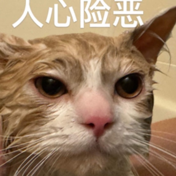 真的是这样………我最近总是在跟三观不正的人讲道理，但是对方给我的感受永远是「我用