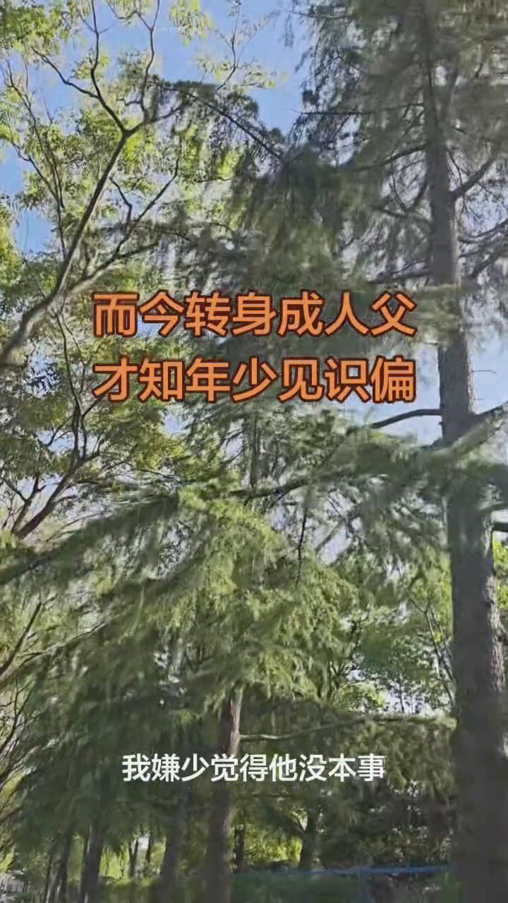而今转身成人父，才知年少见识偏。
读书时爸爸给我转了200，我嫌少觉得他没本事，