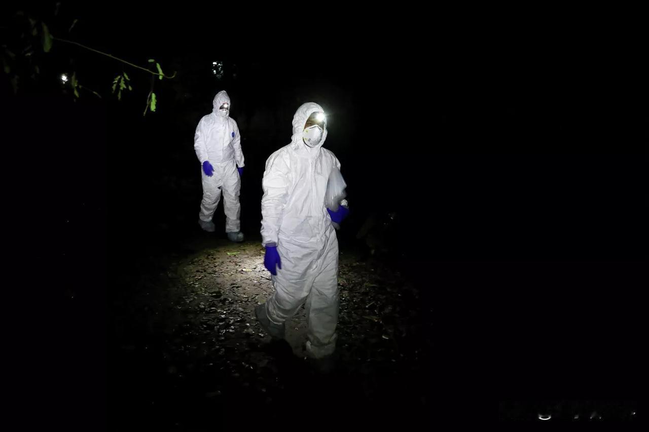 【在孟加拉国，一名女子因喝了生枣椰汁而感染尼帕病毒身亡】
达卡时间2026年2月