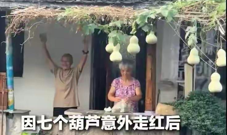 真的太可惜了，葫芦娃爷爷连夜剪掉了七个葫芦，面对这突如其来的破天富贵，本地文旅却