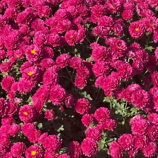 广东   必须大力弘扬改革开放精神、特区精神
 
改革开放精神：
 
解放思想，