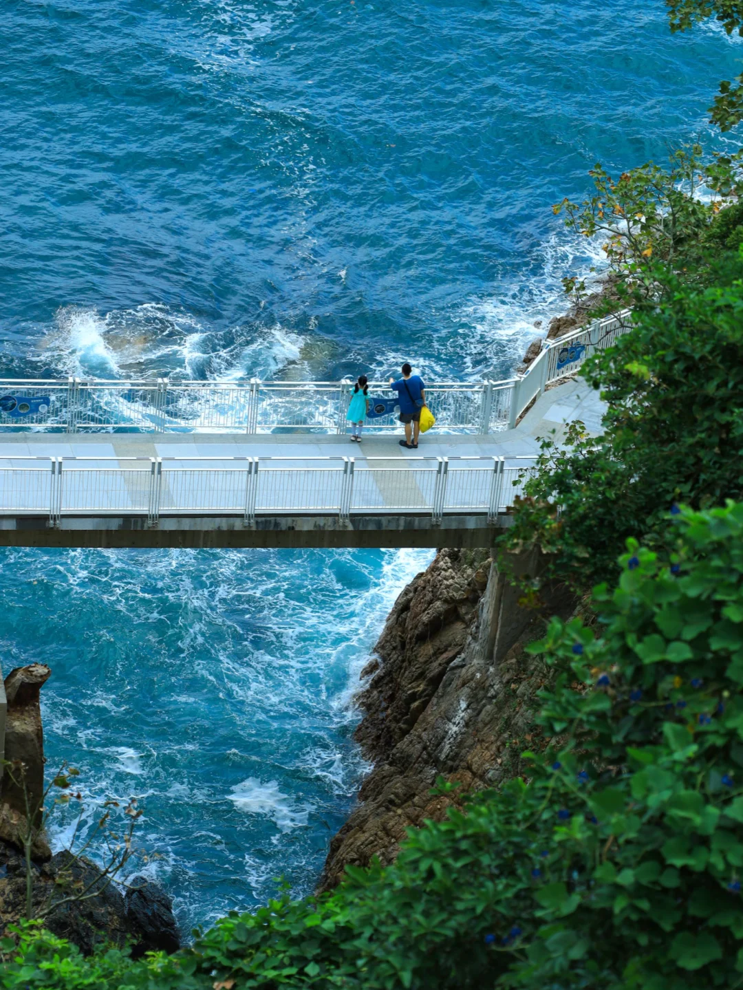 深圳春天Z舒服的海边citywalk 路线（附攻略