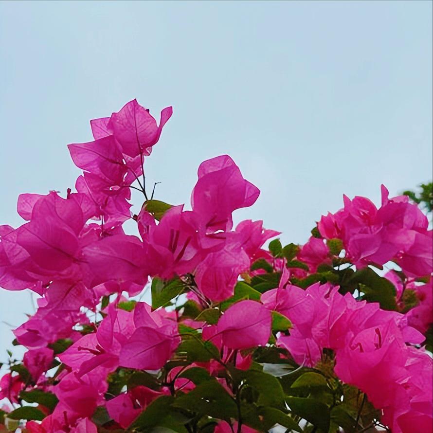 东部战区杨志斌晋升
 
12月22日上午，东部战区杨志斌晋升。
 
该同志从军履