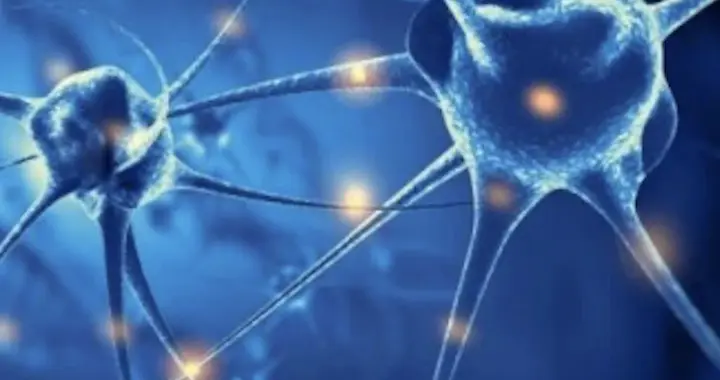 科学家用活体神经元完成计算任务，脑机融合迈出惊人一步