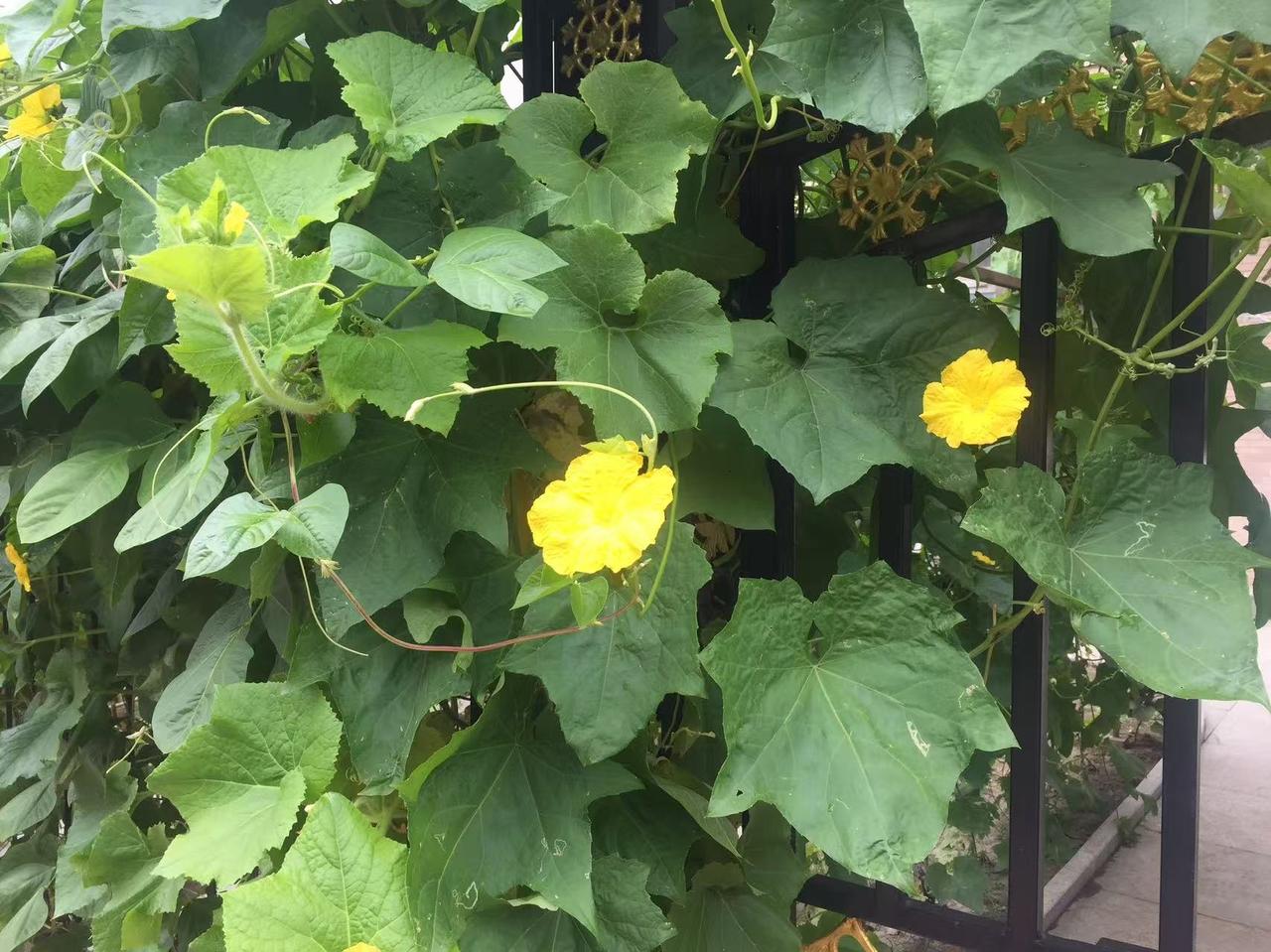 幸福的晴朗的时光，我把我唱给你听