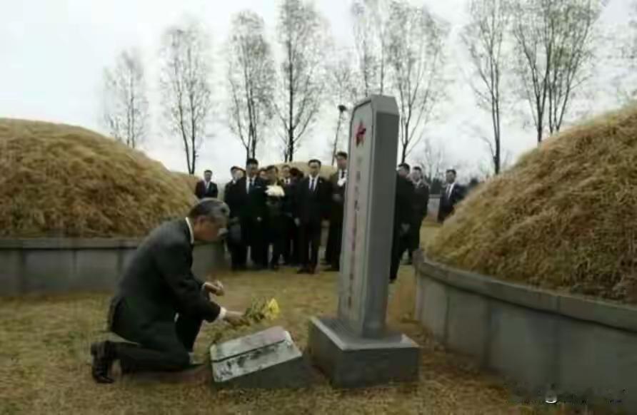 平壤冷雨里，72岁的王毅外长没打伞，头发淋得透湿。他专程去志愿军烈士陵园，单膝稳