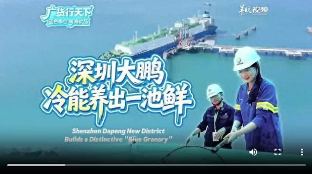 冷能“钻石水”养出一池鲜！深圳大鹏打造别样“蓝色粮仓”