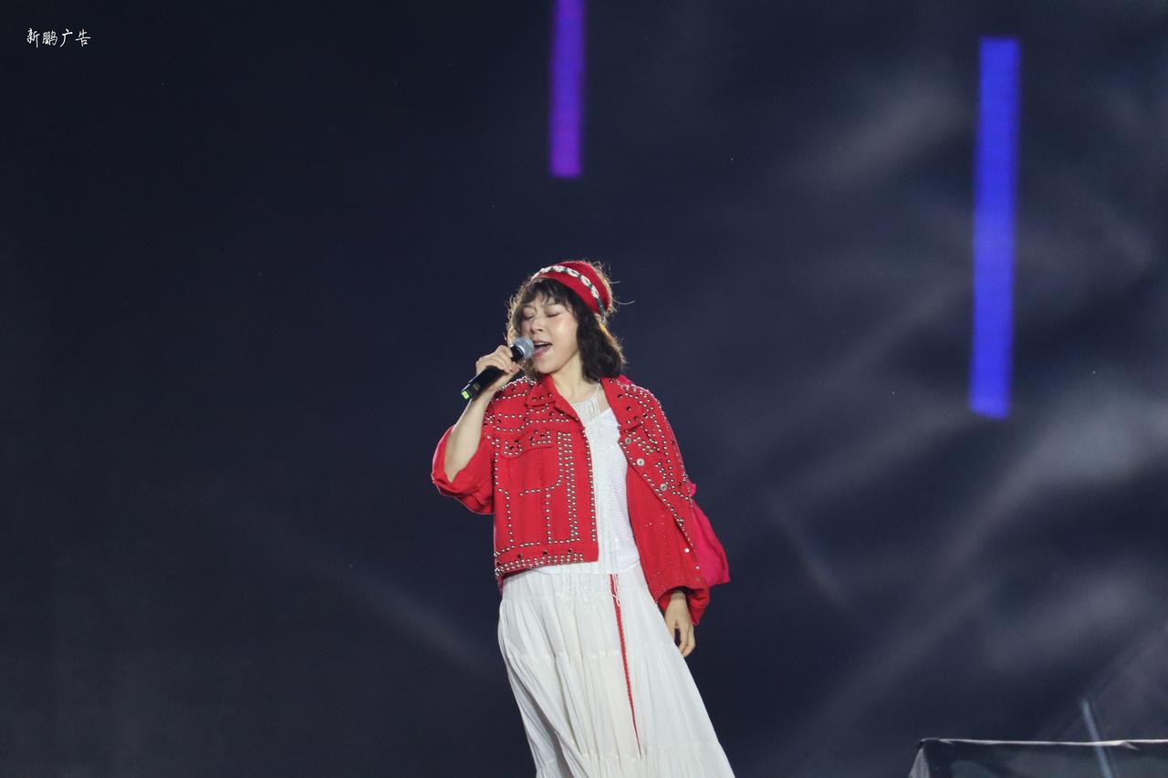 这是在河北邢台源水公园520演唱会的时候拍下的一张舞台演唱会的照片，不知道大家感
