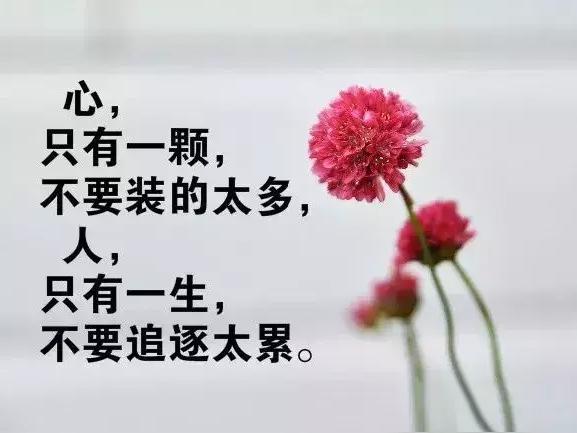 你拼命攥紧的，从来就不属于你。

前阵子读到一篇文章，一位隐世老道对来访者说了番
