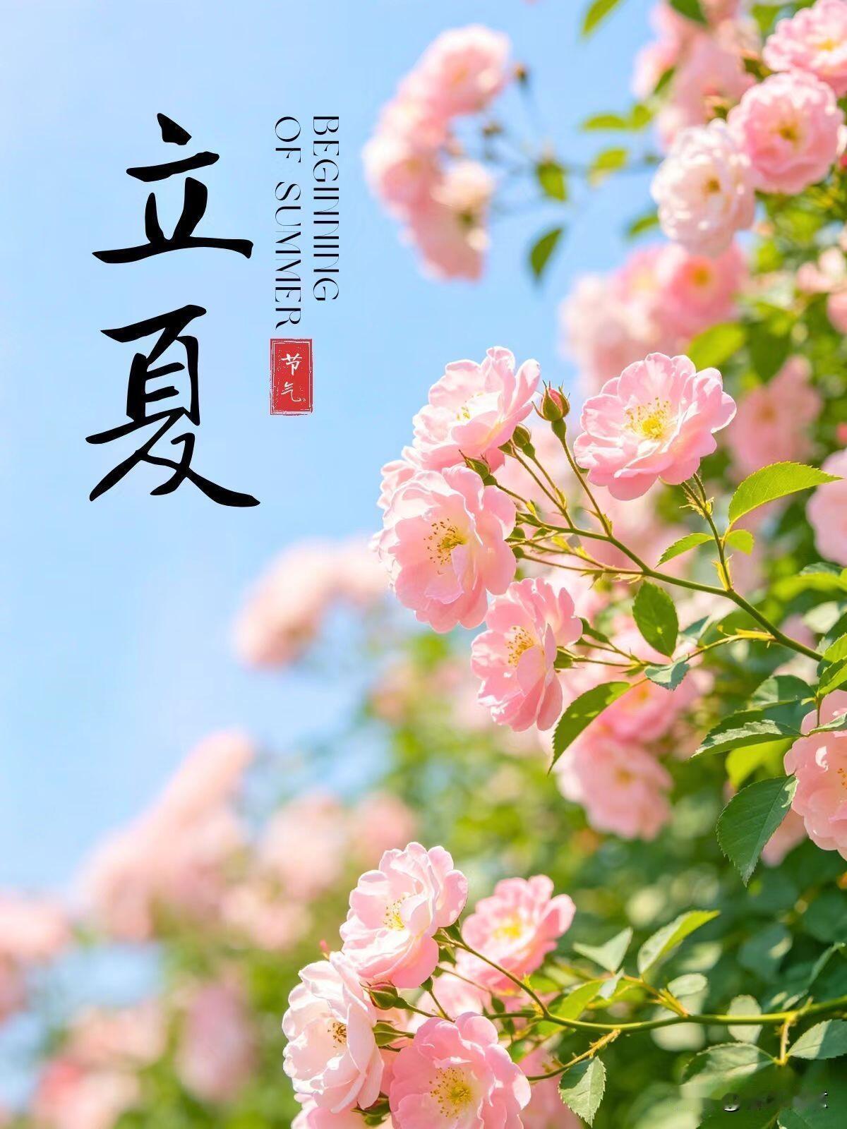 时光如梭：才感春来，忽而立夏，春天的懵懂即将换作夏日的繁忙，初夏的微风总会吹来纷