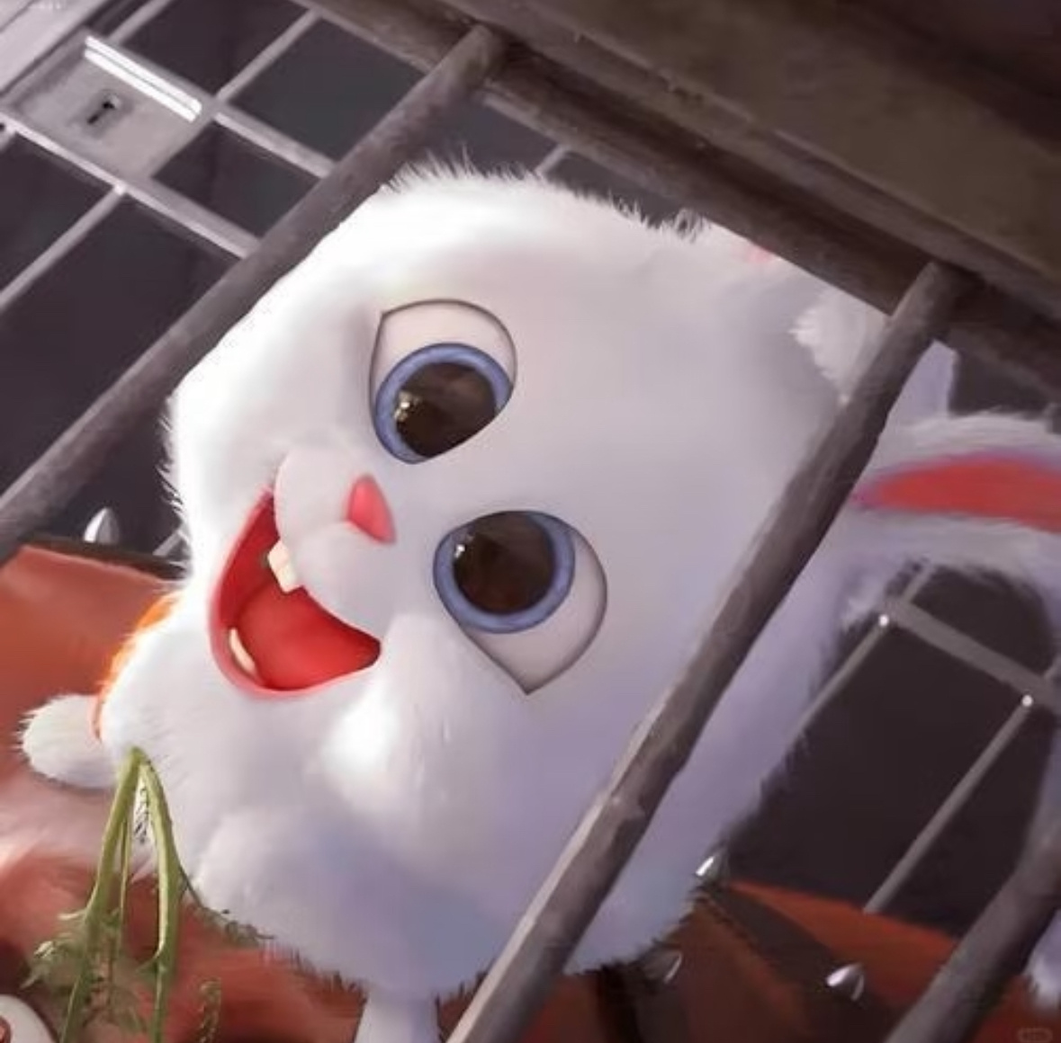 好想掰颗牙玩玩～🐰 ​​​