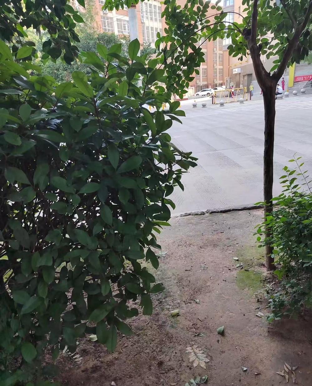 最近突然发现了一个反常现象，满大街的女人，不管是年轻的，还是年老的，穿裙子的越来