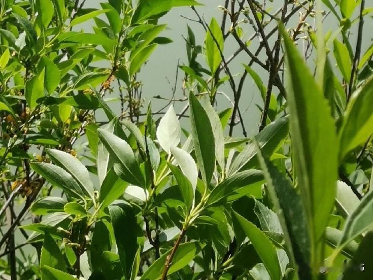 婆婆们，跟儿媳妇分开住有三大好处：
 一，少矛盾，少摩擦
两代人的生活习惯、作息