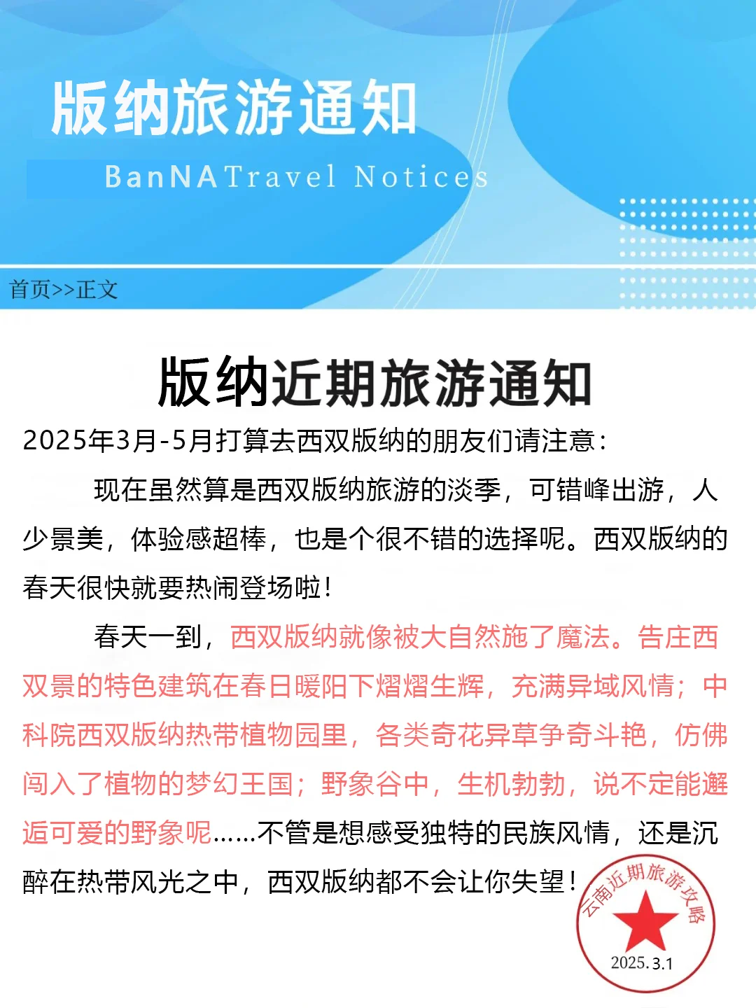 版纳近期现状❗幸好出发前看到了😭😭