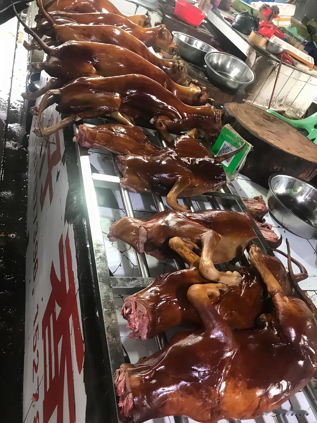 玉林的狗肉听说很有名，这么多的狗都是从哪来的呢？感觉很多狗都是过去主人饲养的宠物