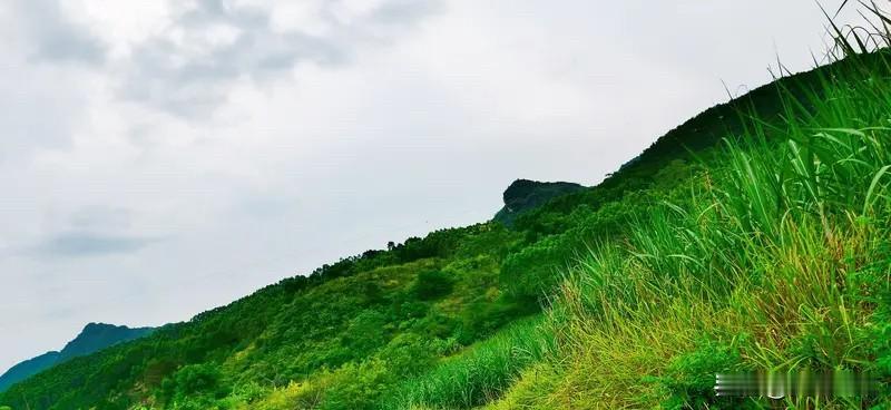 下联：脚踏祥云览九州。脚踏祥云对头枕青山，览九州对观盛世，对仗工整好对联。