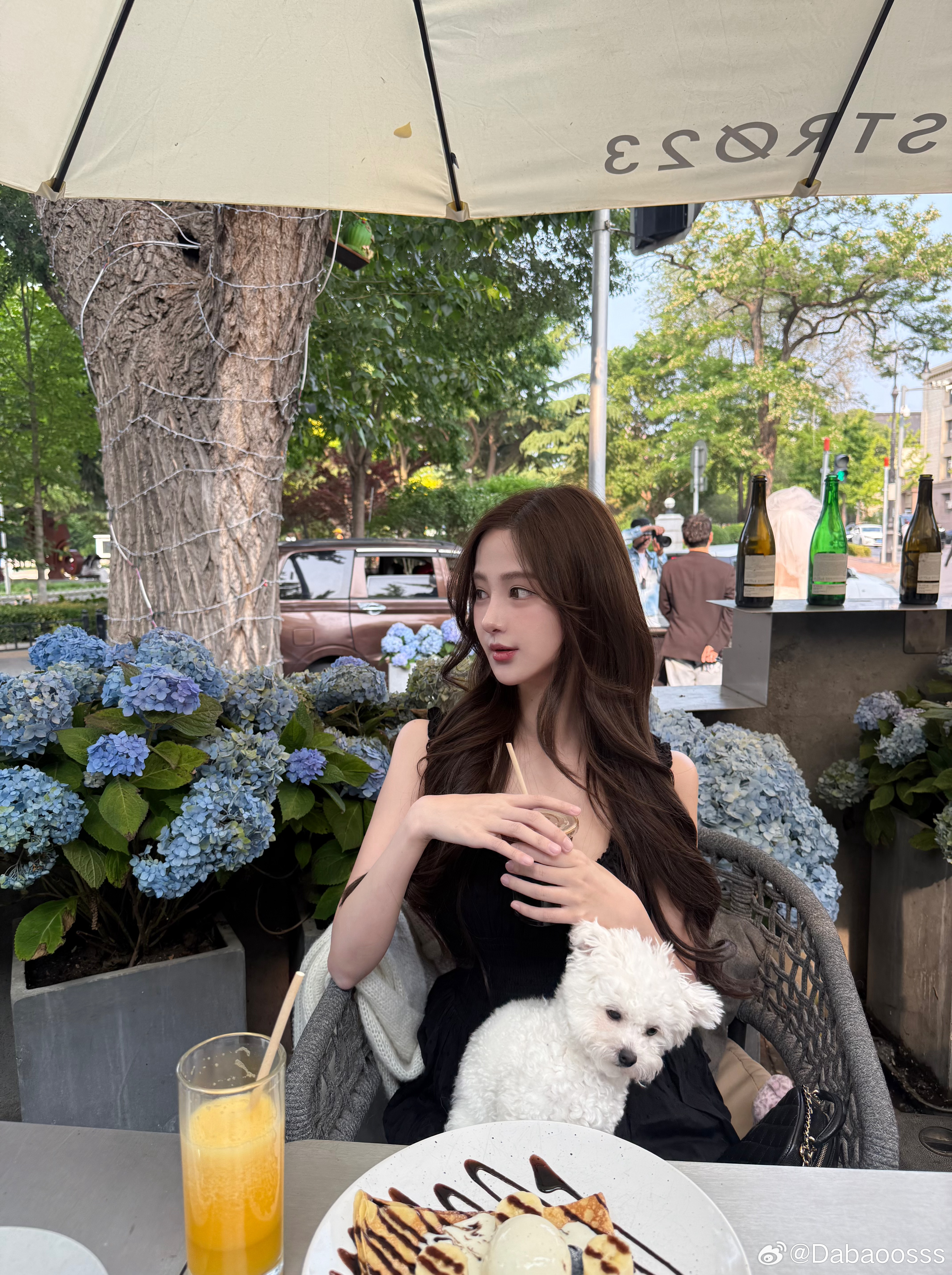 带luna去朋友店里玩 它真的热情的招呼每位客人 要不送它去上班吧[打call]