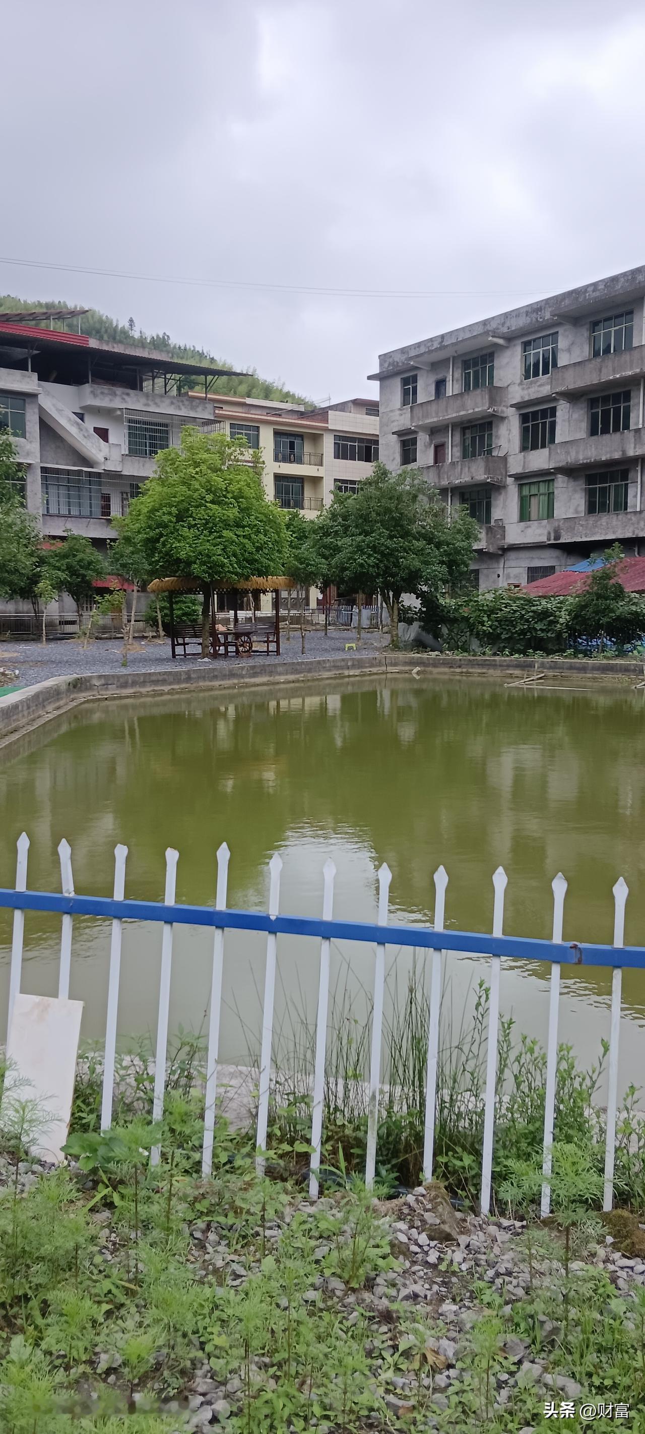 晒图笔记大赛池塘风景