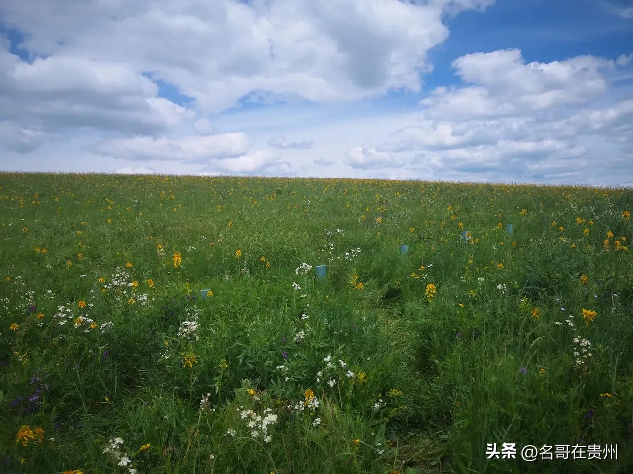 没退休就自驾了3次，我彻底认定：以后绝不再跟团！

没退休就已经自驾跑了三趟，走