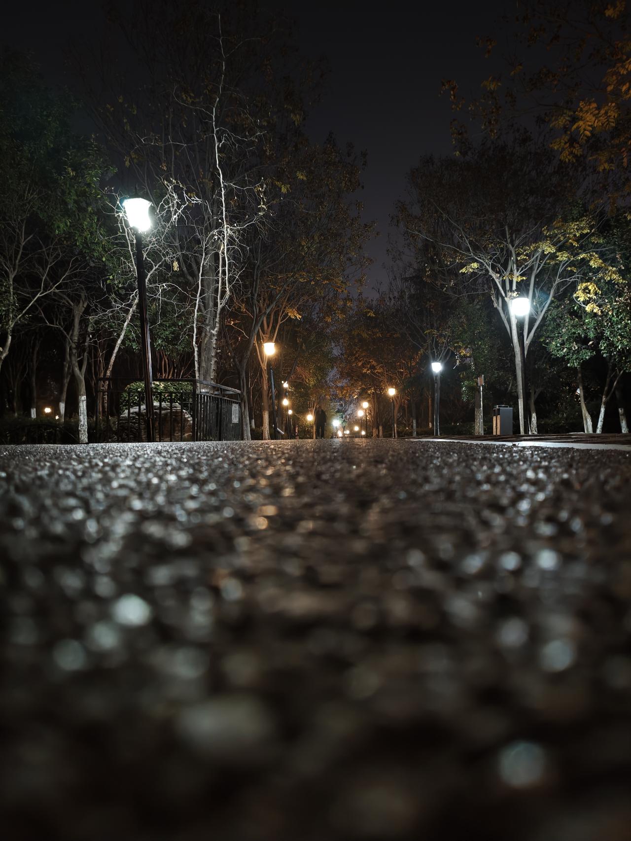 忙完一天，偏爱在这样的夜晚走一走。路灯连成串，脚下的路带着细碎的光影，不用赶路，