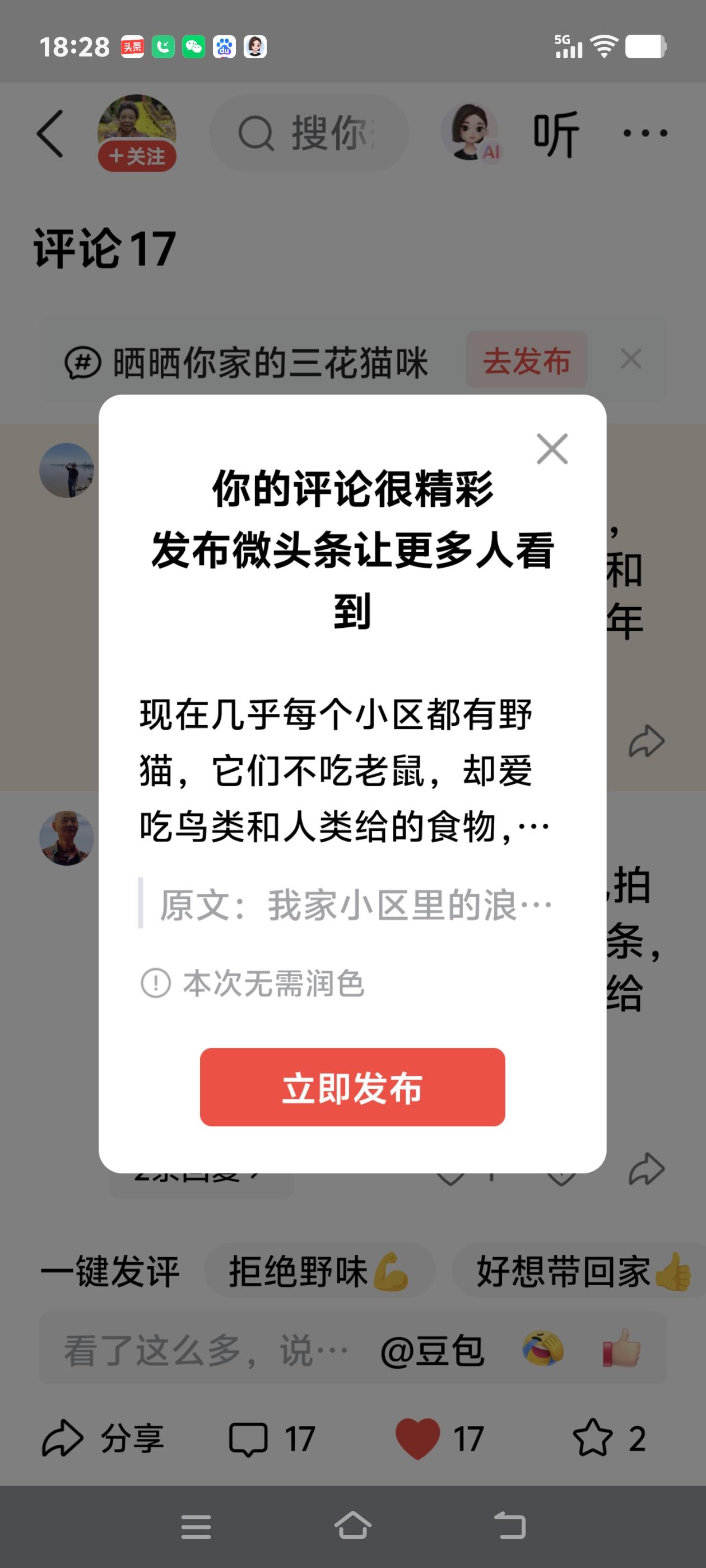 现在几乎每个小区都有野猫，它们不吃老鼠，却爱吃鸟类和人类给的食物，我们大院今年又