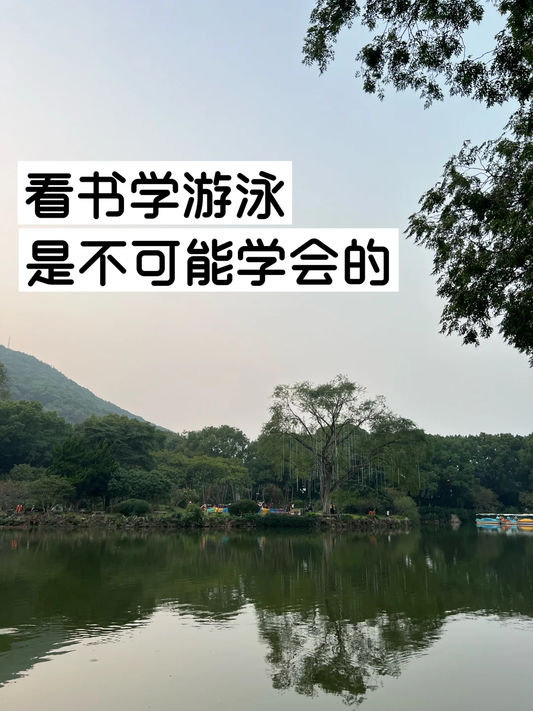 看书学游泳，是不可能学会的。