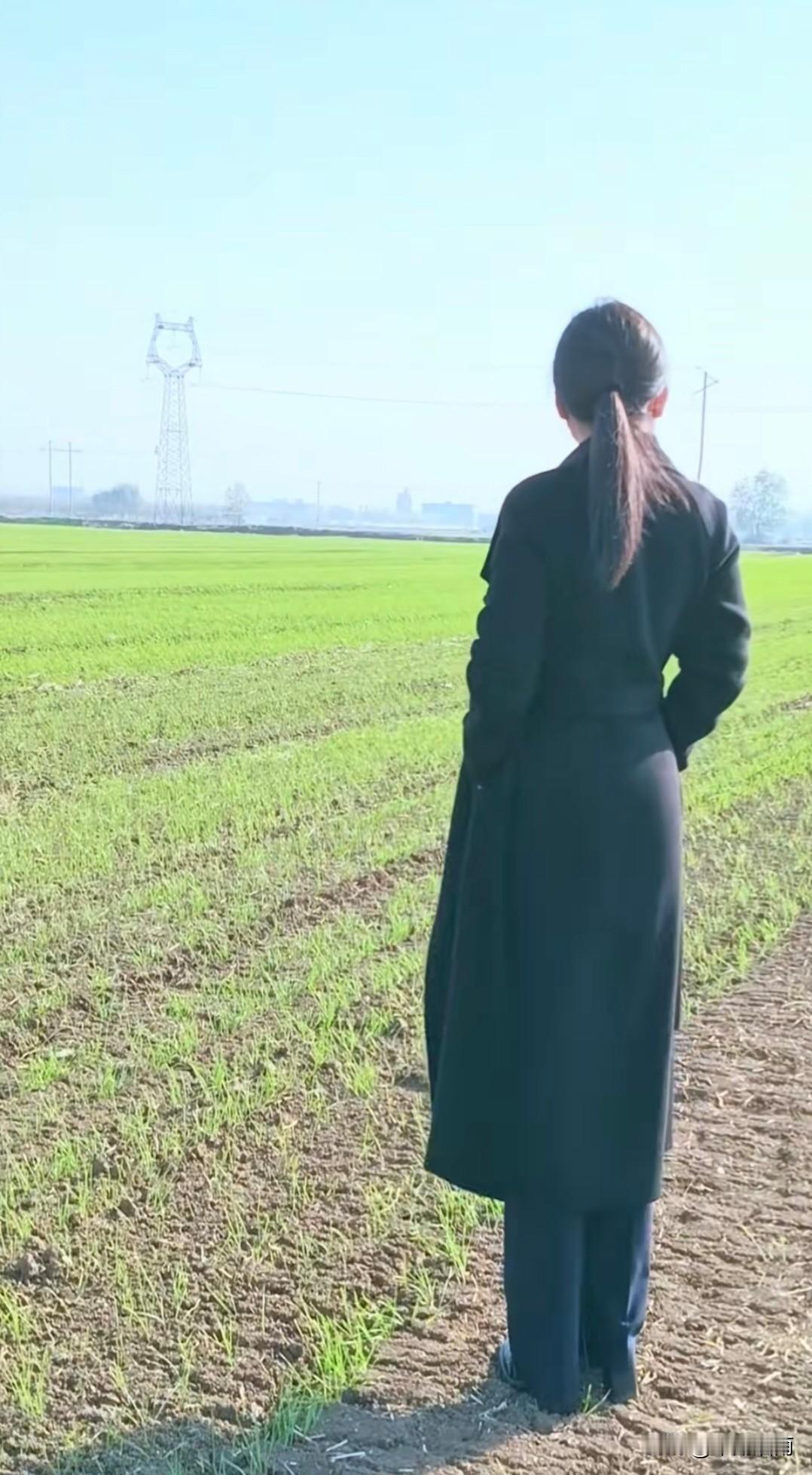 荒村带返照，落叶乱纷纷。