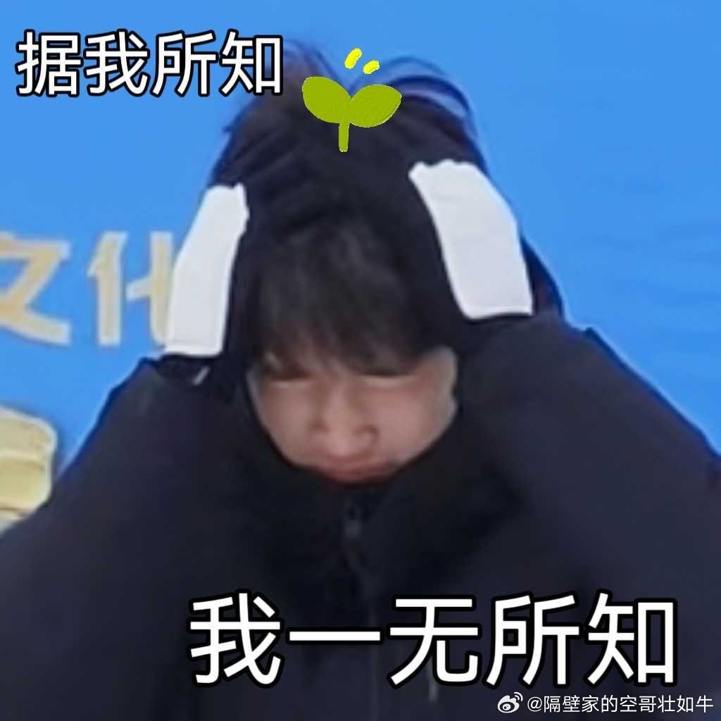 今天才知道顺哥喜欢玩的金铲铲是什么被蒙在鼓里两年……感谢宝师 