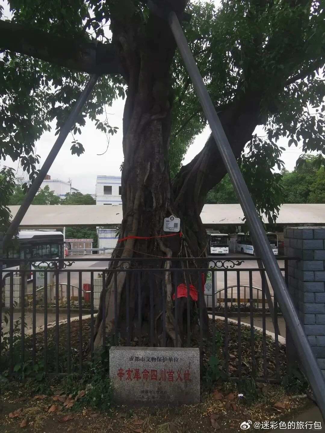 📍四川荣县｜39.9 元便民巴士直达！成都周末又多一处宝藏小城成都新开通往返荣