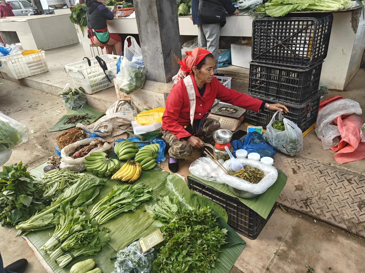 图片是西双版纳曼莎路小市场，相当于我们东北的早市，只不过我们哈尔滨的早市是马路市