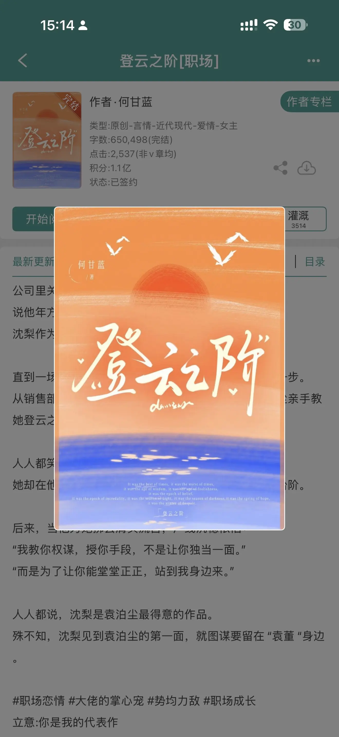 登云之阶。男强女强，喜欢也要势均力敌