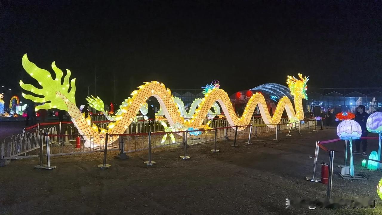 分享一段你城市的夜景