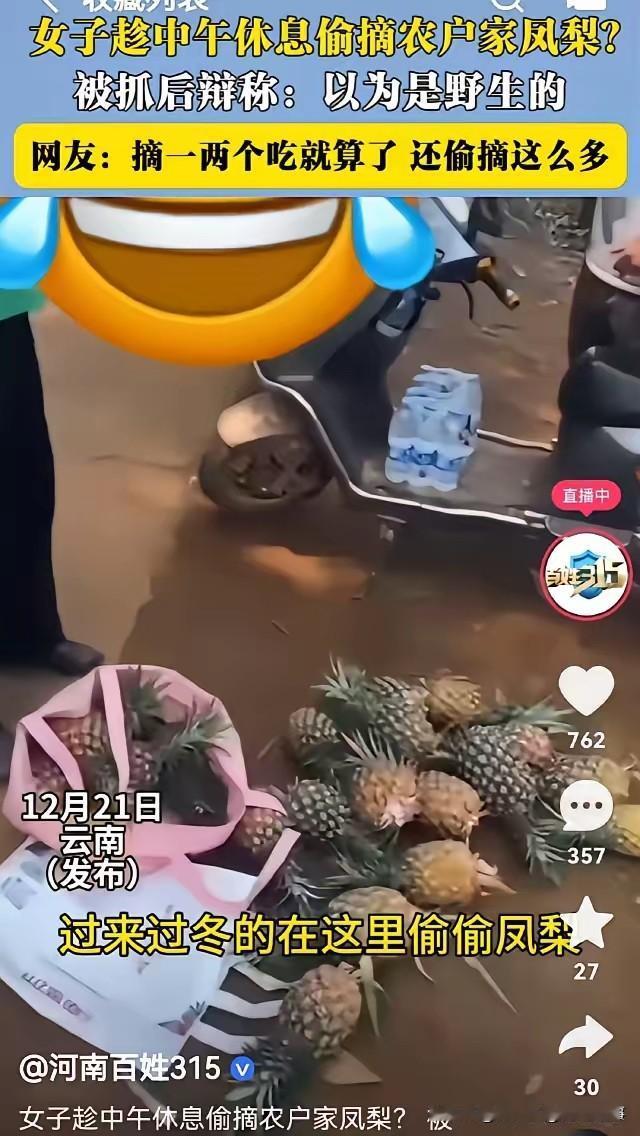 【偷凤梨还嘴硬！云南两女子“野生”借口遭怒怼，结局太解气】
云南一农户小李（化名
