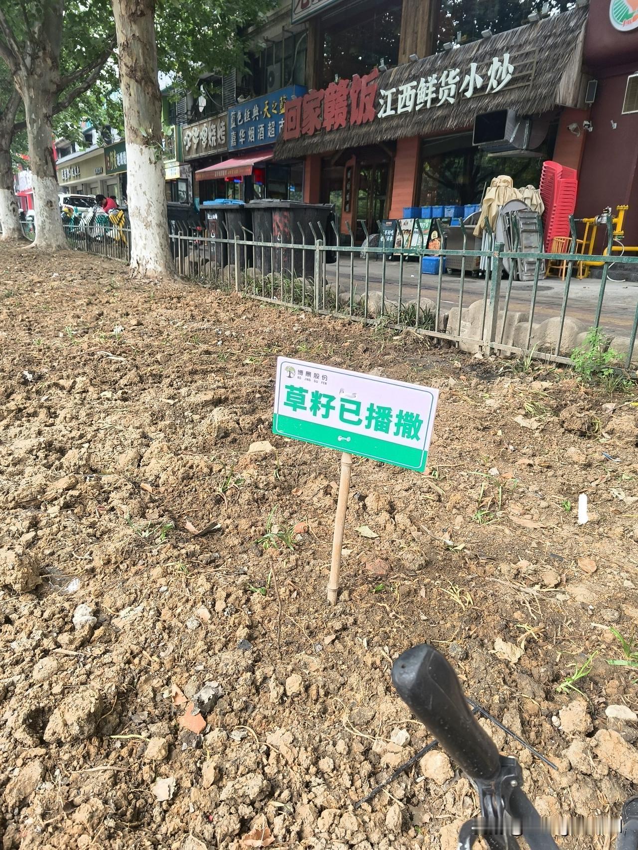 为何不营造良好的营商环境
潜山北路凤凰城小区旁有十多家火锅店，每晚食客盈门。美中