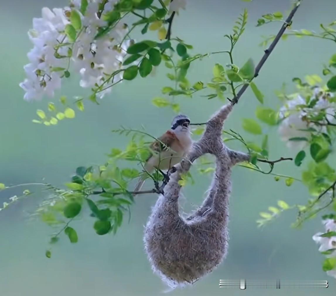 整整一个月了，奶茶店需要招5个店员，才招到了3个。都说工作难找，是指“好工作”难