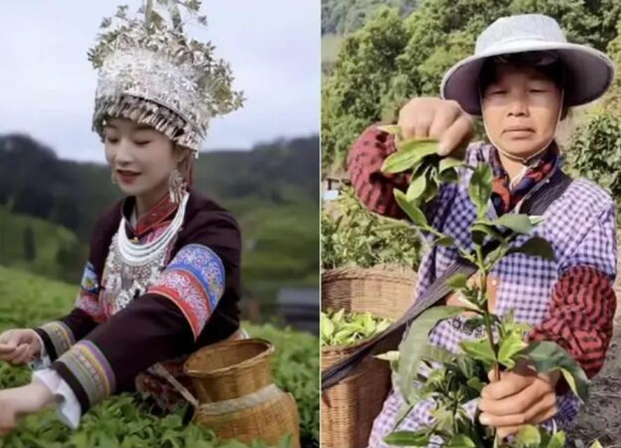 喜欢喝茶，还是喜欢采茶姑娘