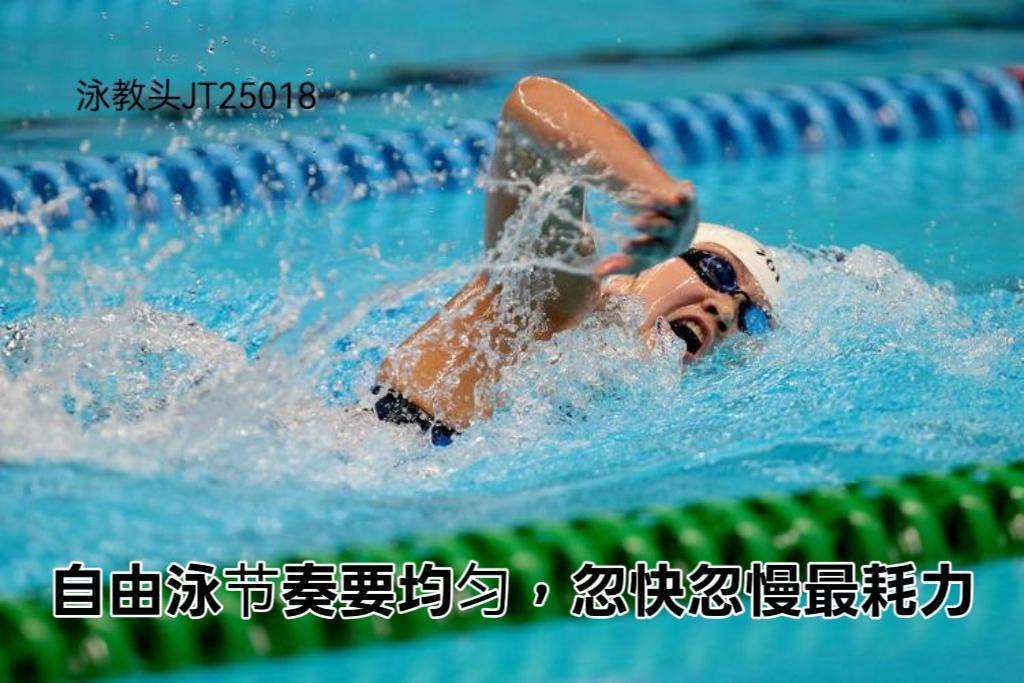 泳教头 | 泳讲堂：自由泳节奏要均匀，忽快忽慢最耗力
很多泳友游自由泳时总觉得累