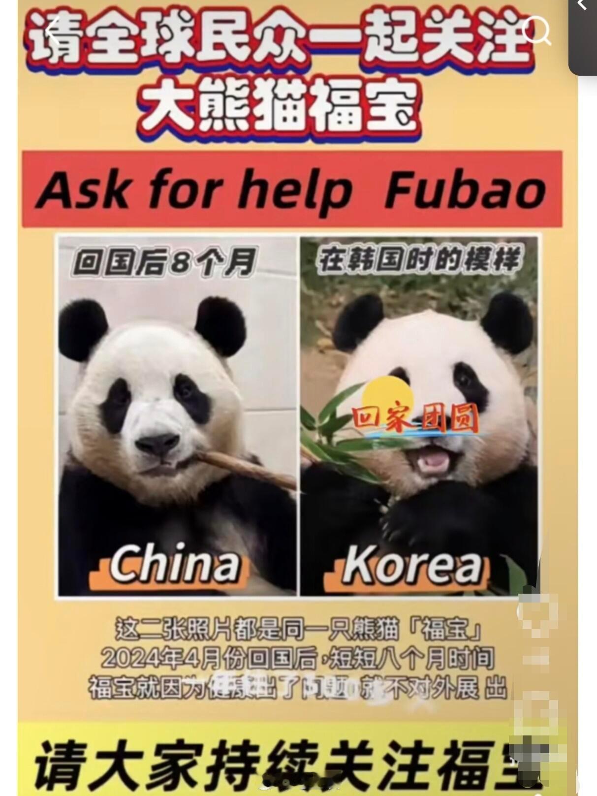 韩国熊猫福宝动保粉丝真的疯了，各种造谣和污蔑…别什么都想偷、什么都想抢、什么都想