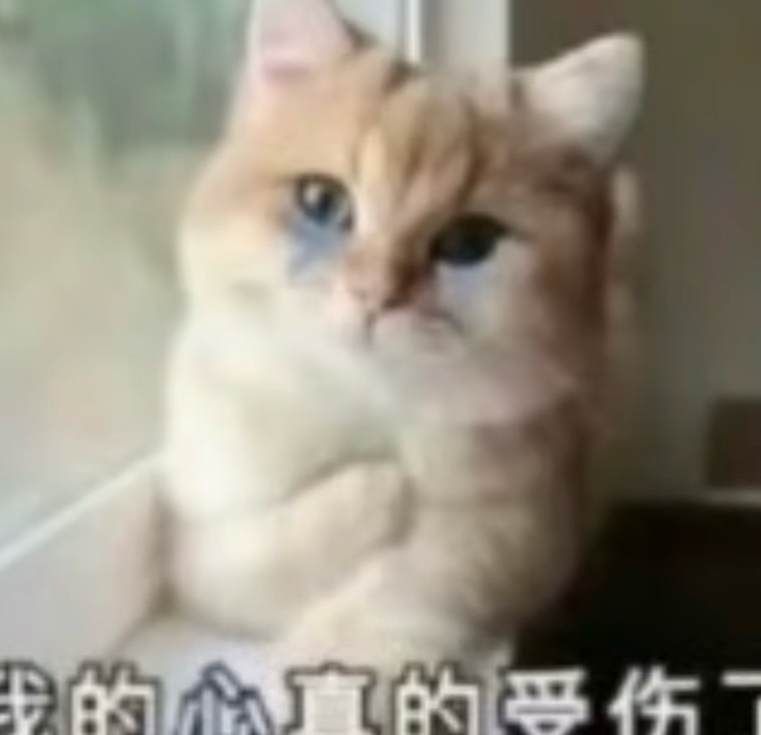 分享图片 ​​​
