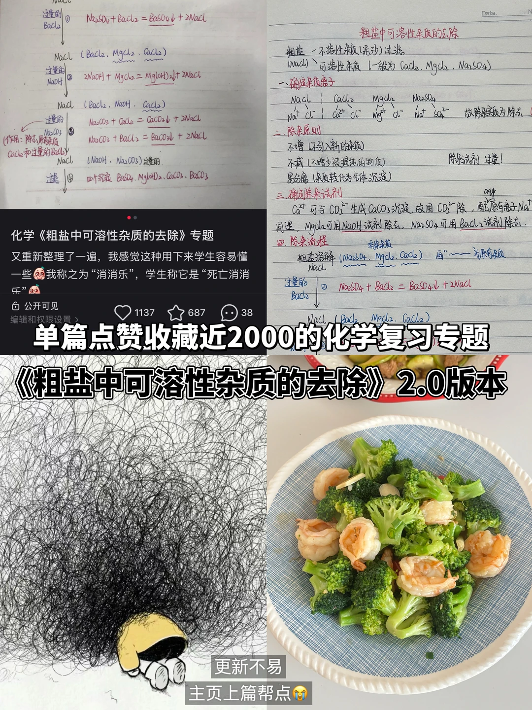 化学复习专题《粗盐中可溶性杂质的去除》🔥