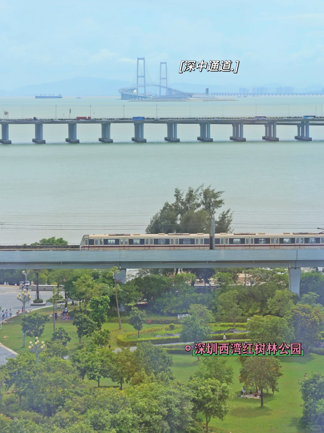 重要我也找到深中通道的打卡点了