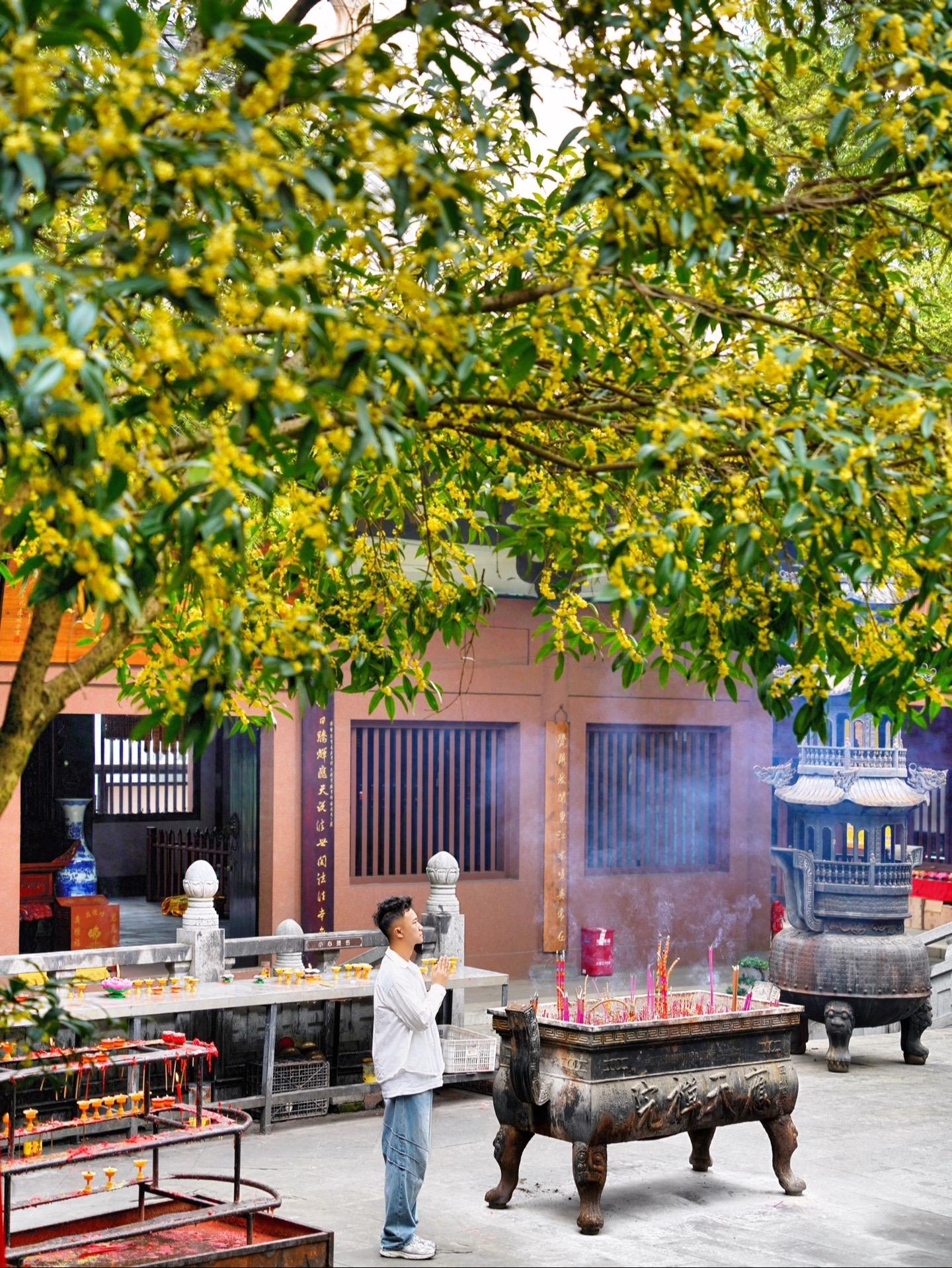 成都地铁直达❗️开满桂花的古寺～斋饭管饱。秋天 总要来一趟成都吧 我在...