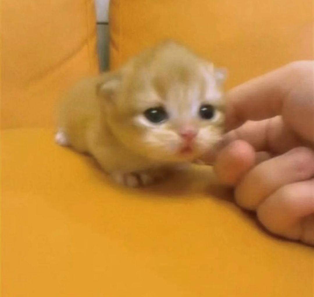 代