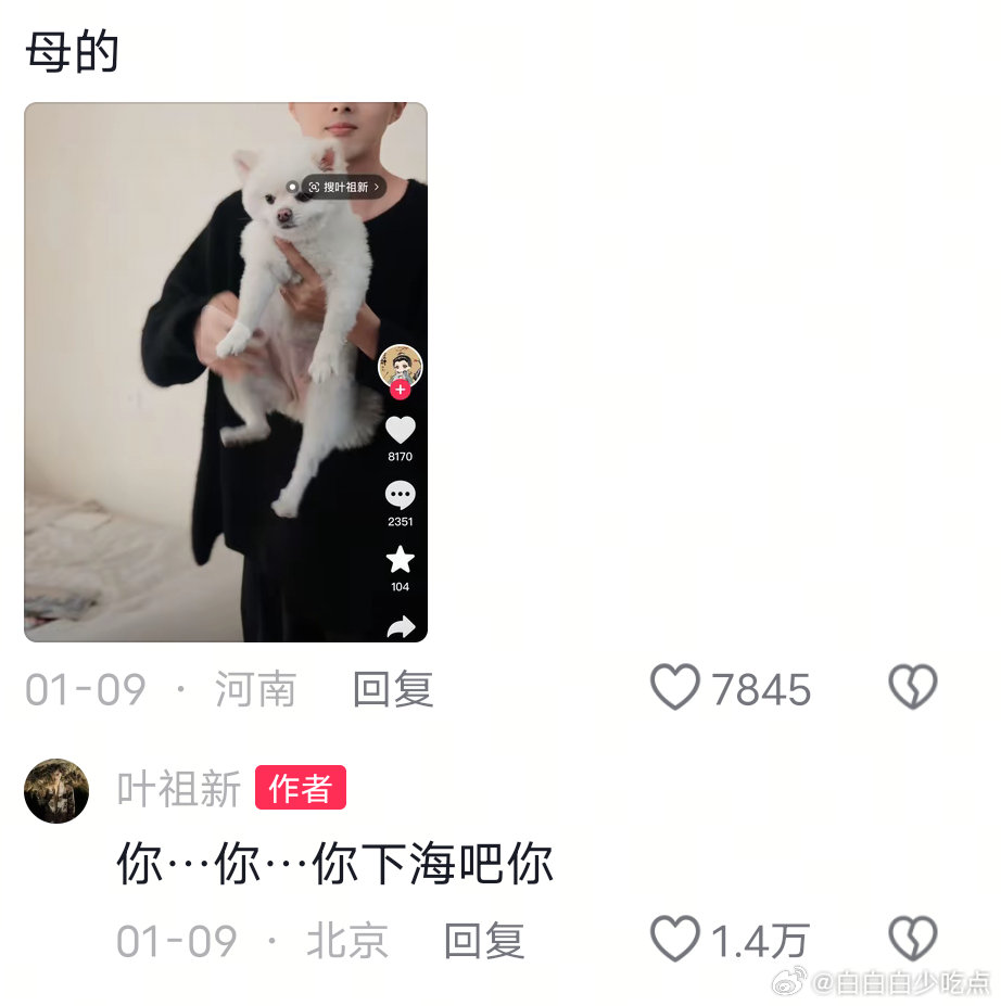 ？？他在说什么啊 