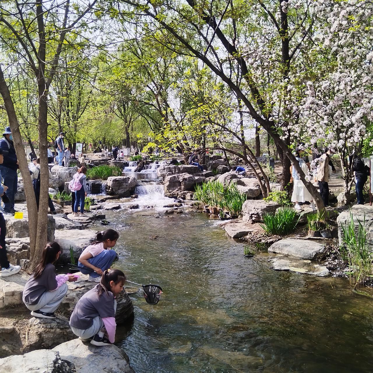 周日下午的奥森南园。今天的气温已升至25℃，有些人已经穿上了短袖短裤。漫天飘舞着