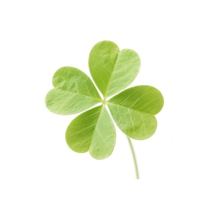 好事即将发生🍀 