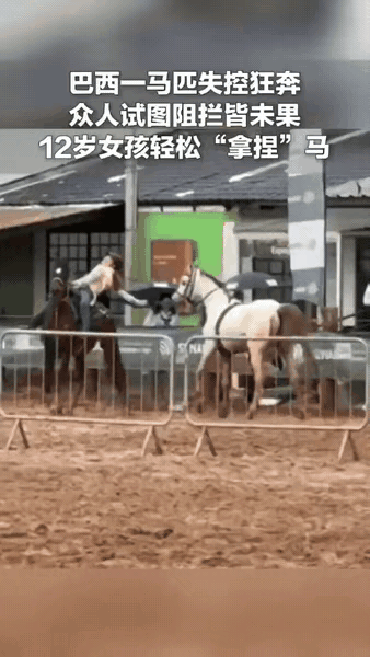 太厉害了！巴西一场赛马比赛上，一匹马突然受惊失控疯狂狂奔，好几名成年人上前阻拦都