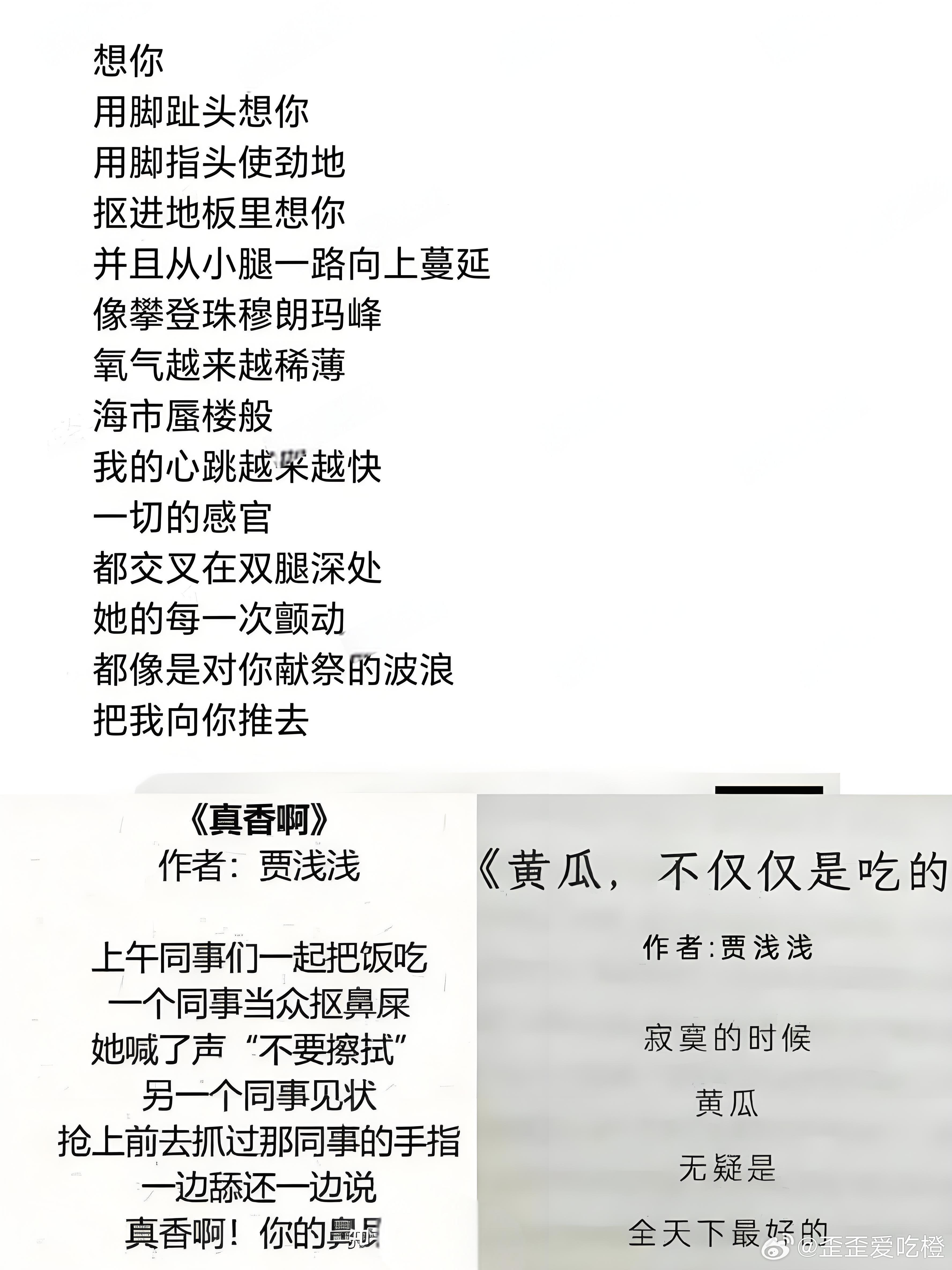 还文二代，这样的诗怎么好意思叫诗？写的什么鬼嘛！文人圈没人举报么？真的好离谱贾浅