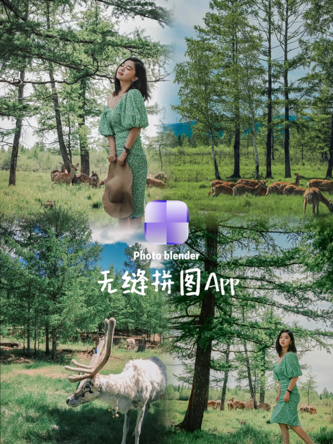 无缝拼图App | 免费💰附详细使用教程‼️